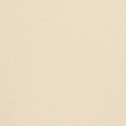 Ivory Beige