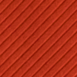 Orange Lily
