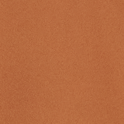 Cinnamon Bark