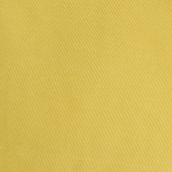 Primrose Yellow
