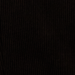 Circuit Brown