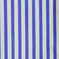 Blue/White