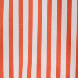 Orange Lily/White