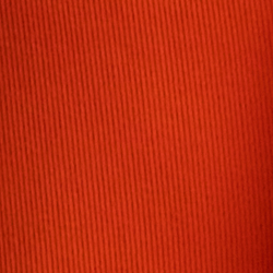 Orange Lilie