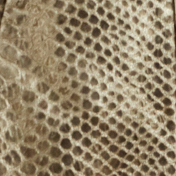 Gold metallic