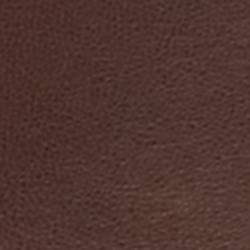 Dark Hickory