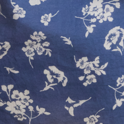 Blue/White