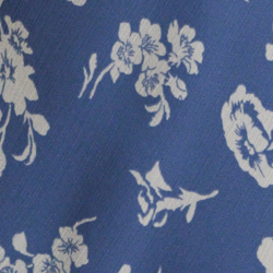 Blue/White