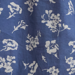 Blue/White