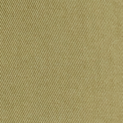 Light Agave