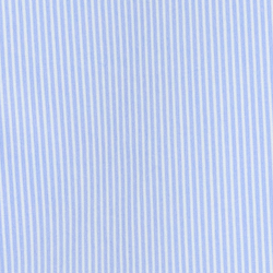 Blue/White