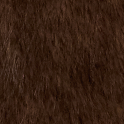 Dark Camel