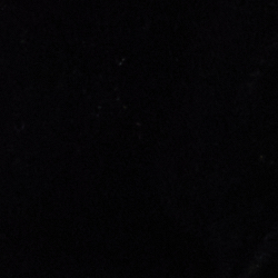 Velours noir