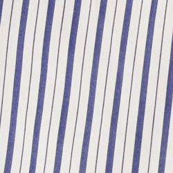 Blue/White