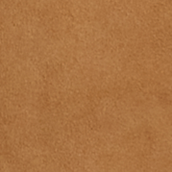 Lauren Camel