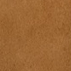 Lauren Camel