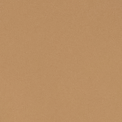 Lauren Camel
