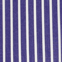 Blue/White Multi