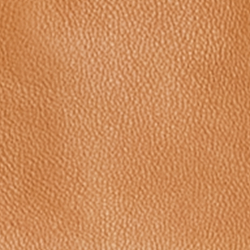 Classic Caramel