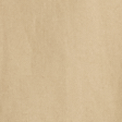 Birch Tan
