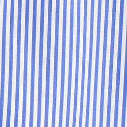 Blue/White