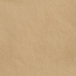 Birch Tan