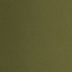 Olive Grove