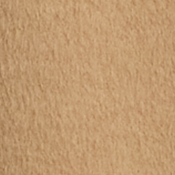 Lauren Camel