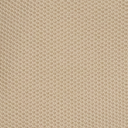 Explorer-Sandbraun