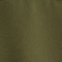 Olive Grove