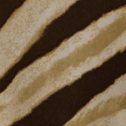 Creme/Braun