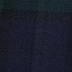 Black/green Multi