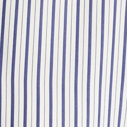Blue/White