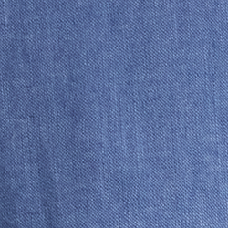 Carson Blue