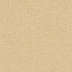 Birch Tan