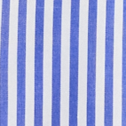 Blue/White
