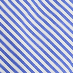 Blue/White