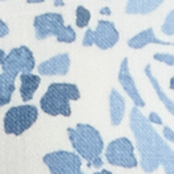 White/Blue