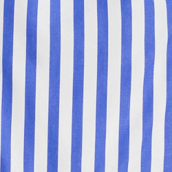Blue/White