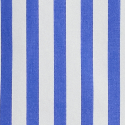 Blue/White