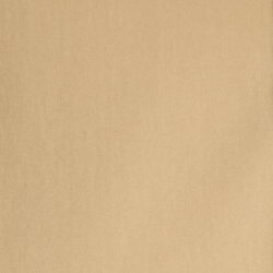 Birch Tan