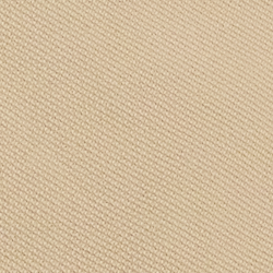 Explorer-Sandbraun