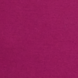 Fuchsia Berry