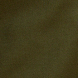 Olive Grove