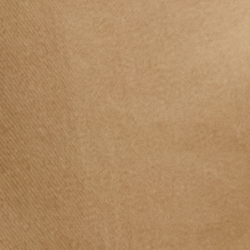 Birch Tan