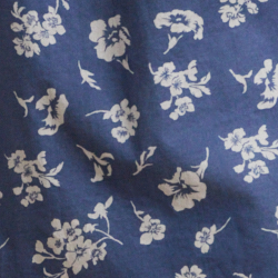 Blue/White