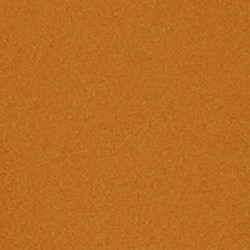 Cinnamon Bark