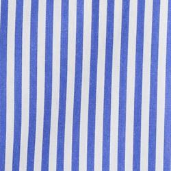 Blue/White