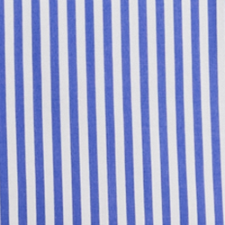 Blue/White