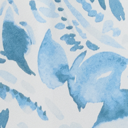 White/Blue